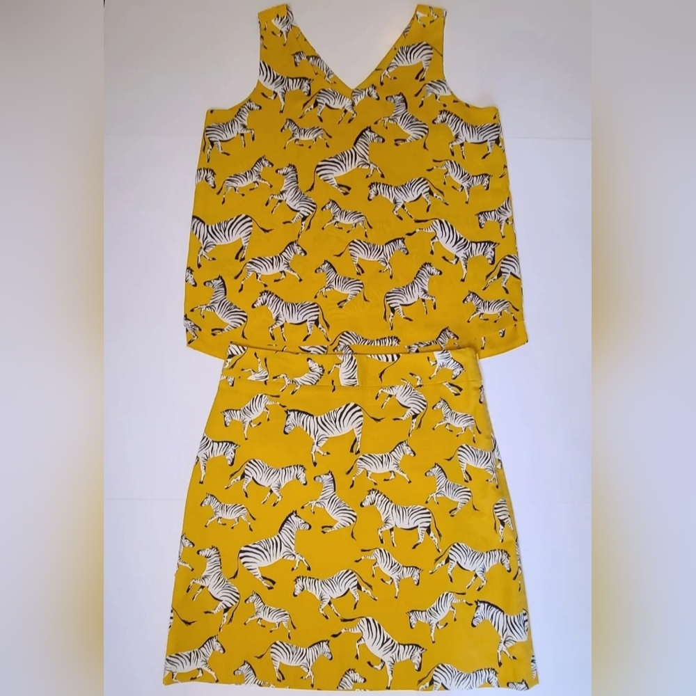 Ann Taylor Factory Rust Yellow Zebra Animal Print Skirt & Tank Set Size XS & 4 - Picture 2 of 14